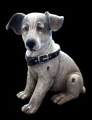 Urn steen hondje hoofd eraf 800